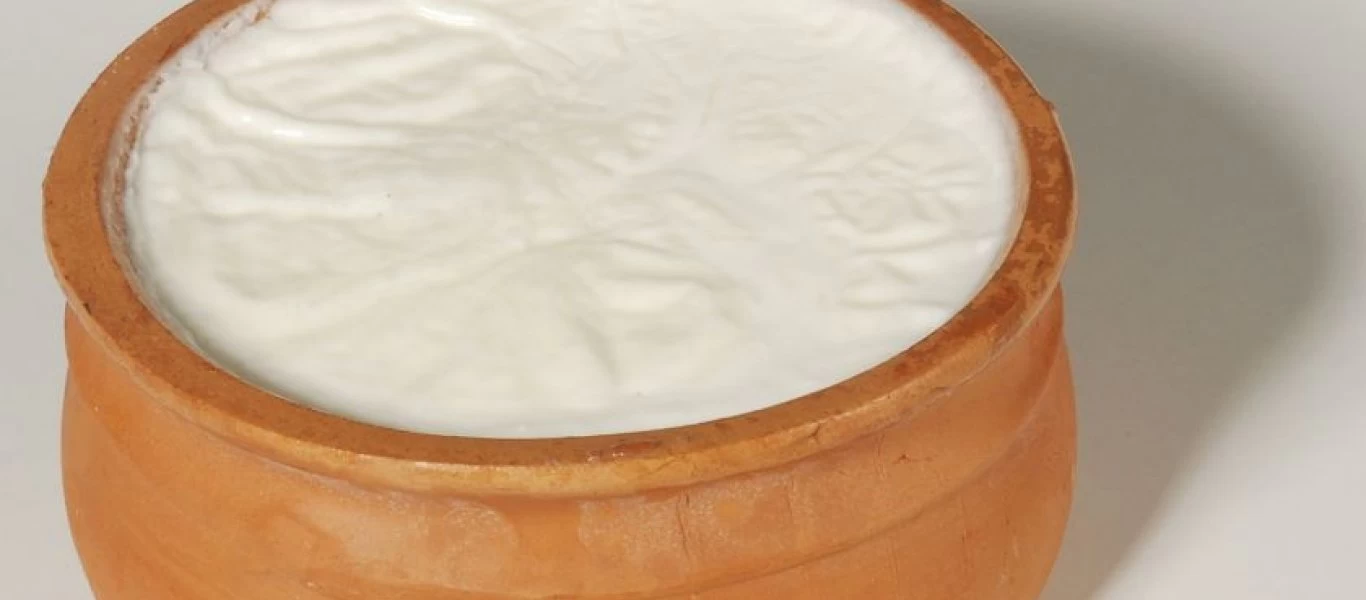 Γιατί πρέπει να τρώμε τροφές με προβιοτικά;